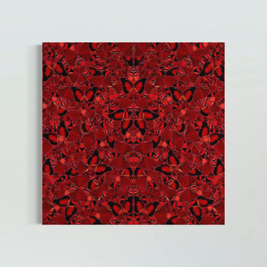 The Empresses, set of 5