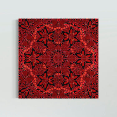 The Empresses, set of 5