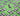 Freedom of Movement (Neon Green) - Ultra Edition